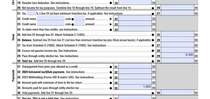 form 100S